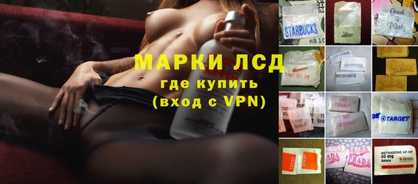 apvp Богданович