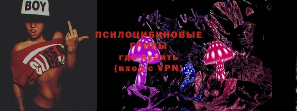 spice Богородицк