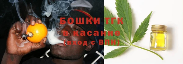 spice Богородицк
