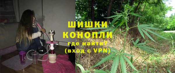 spice Богородицк