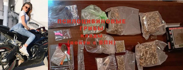 прущая мука Бородино