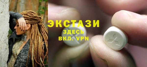 spice Богородицк