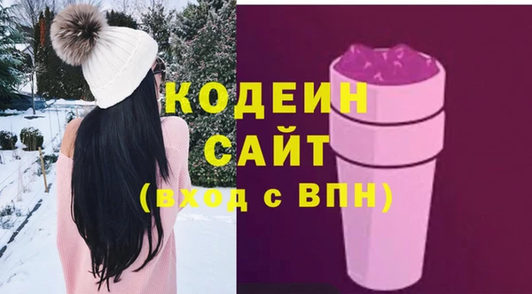 spice Богородицк