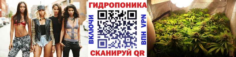 Марихуана гибрид  где продают   Северская 